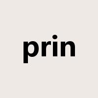 prin是什么意思