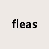 fleas是什么意思
