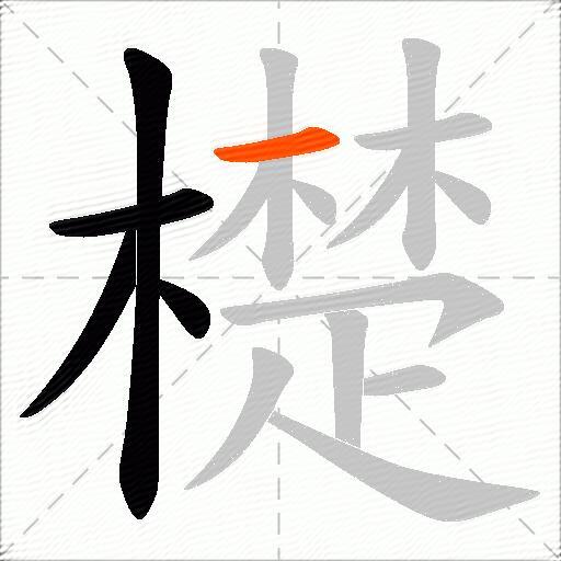 檚