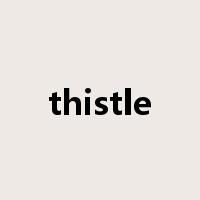 thistle是什么意思