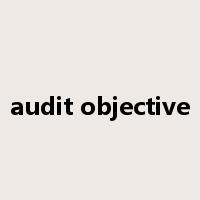 audit objective是什么意思