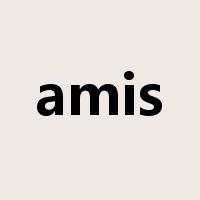 amis是什么意思