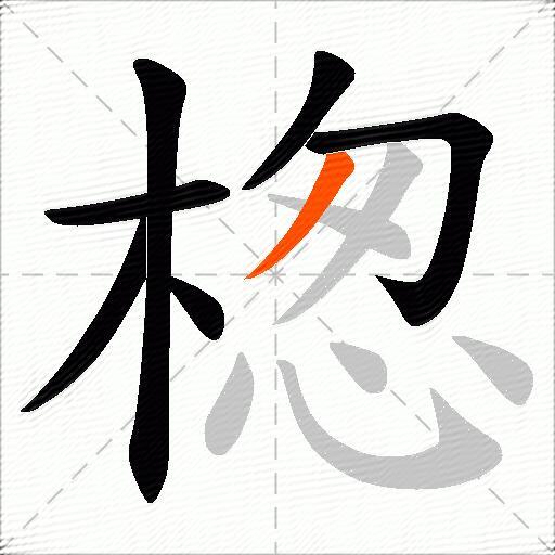 楤