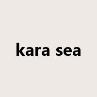 kara sea是什么意思