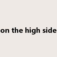 on the high side是什么意思