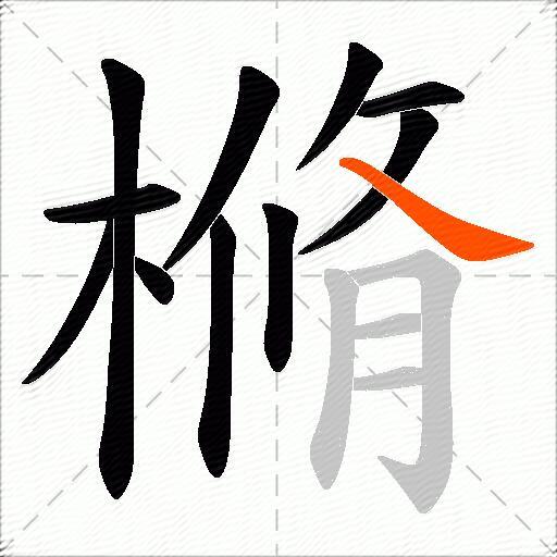 樇