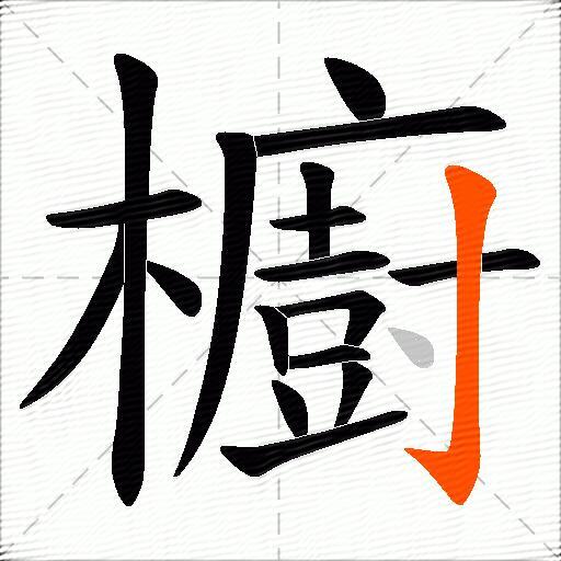 櫥