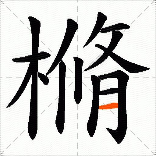 樇