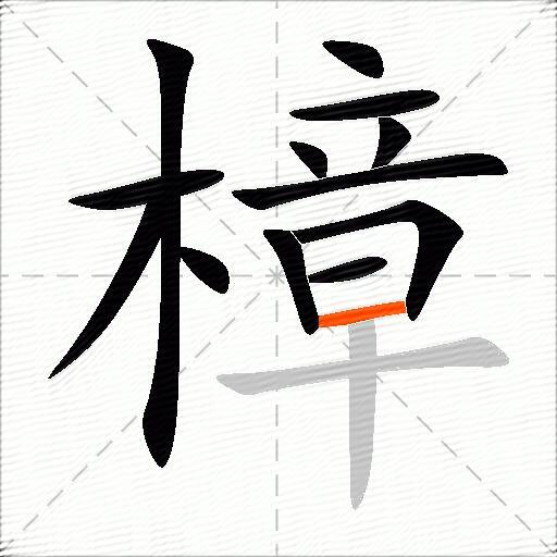 樟