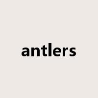 antlers是什么意思