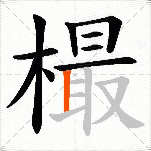 樶
