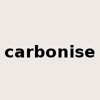 carbonise是什么意思
