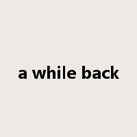 a while back是什么意思