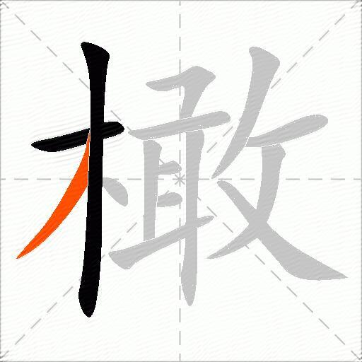 橄