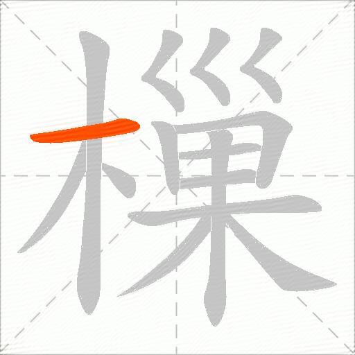 樔