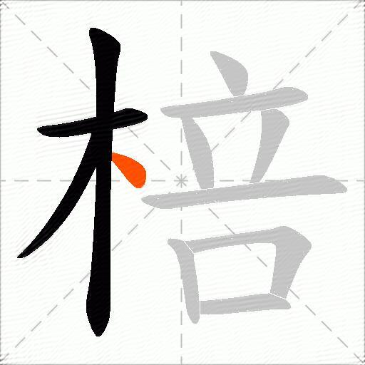 棓