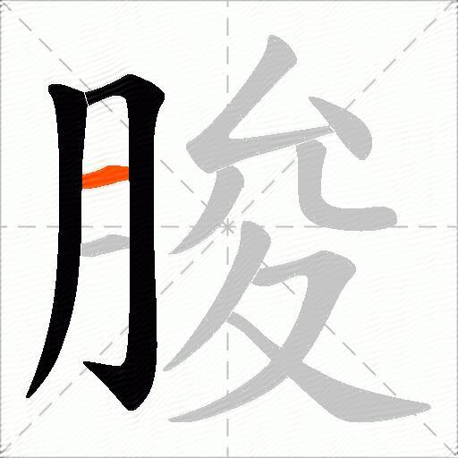 朘