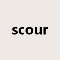 scour是什么意思