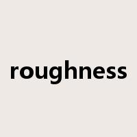 roughness是什么意思