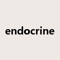 endocrine是什么意思
