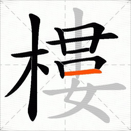 樓