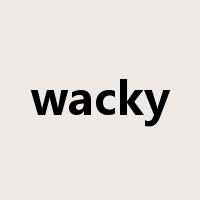wacky是什么意思