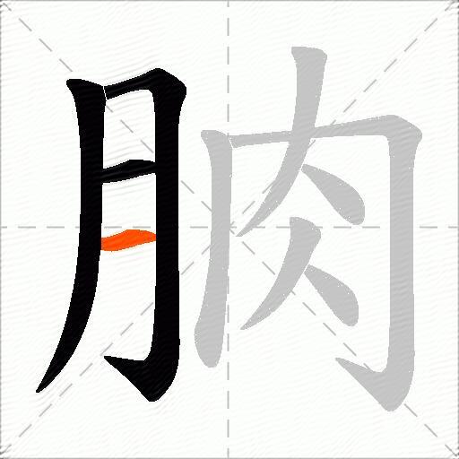 朒