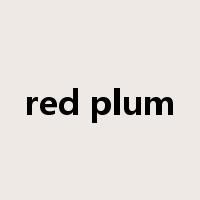 red plum是什么意思