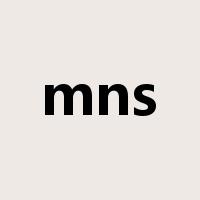 mns是什么意思