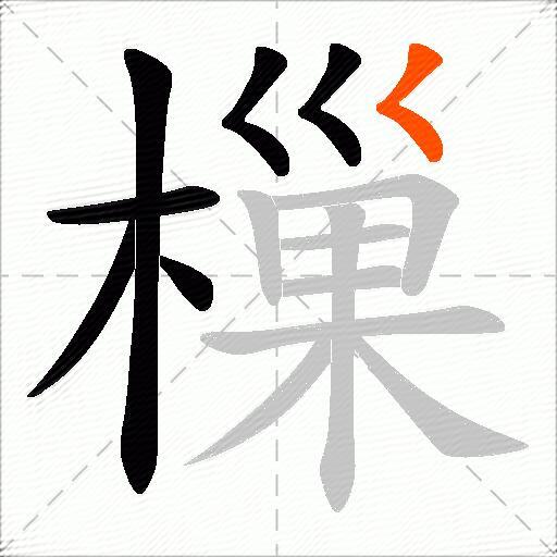 樔