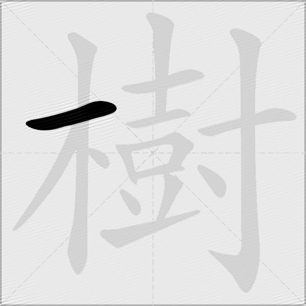 樹