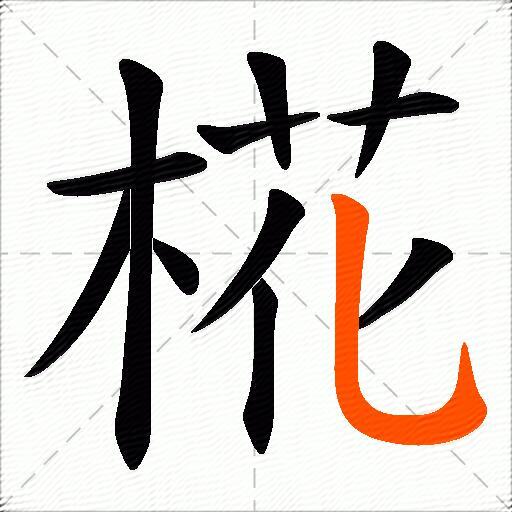 椛
