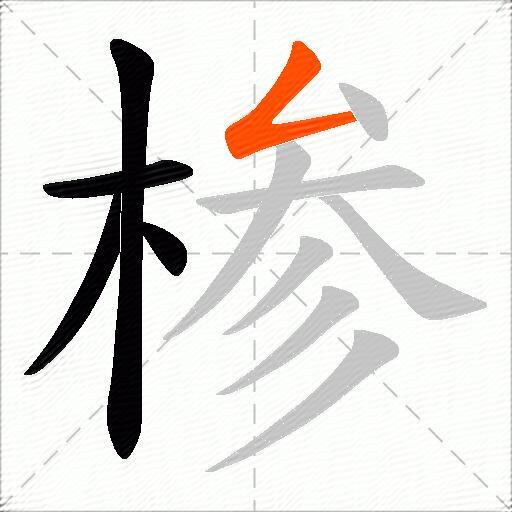 椮