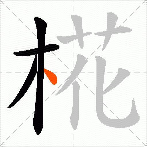 椛