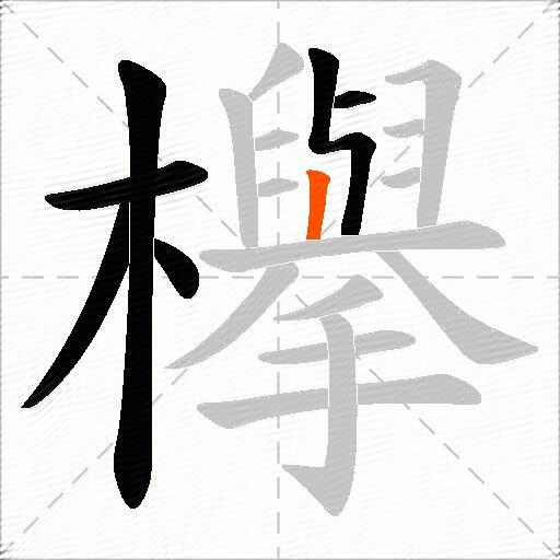 欅