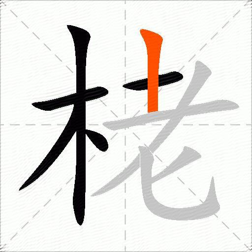 栳