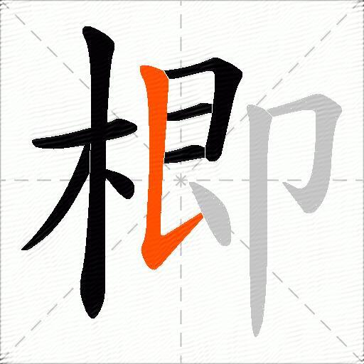 楖