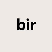 bir是什么意思