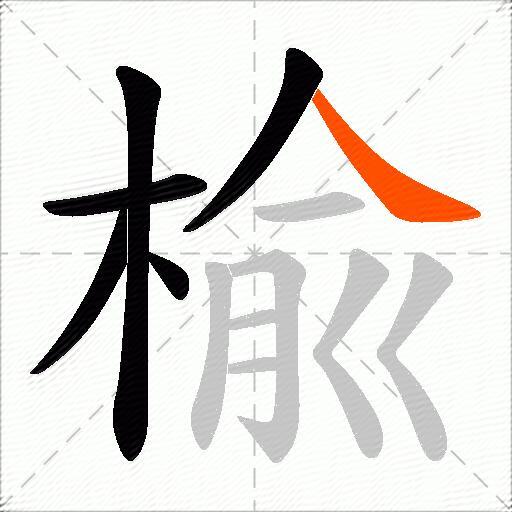 楡