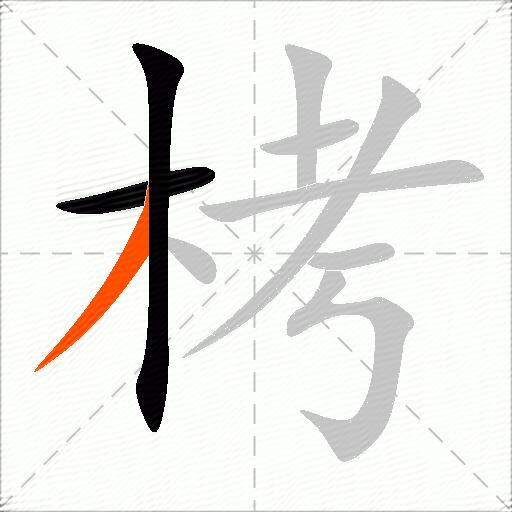 栲