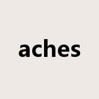 aches是什么意思