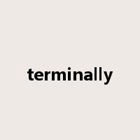 terminally是什么意思