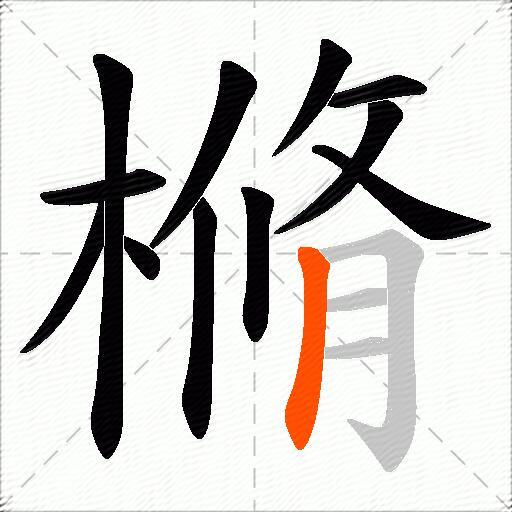樇