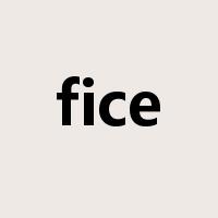 fice是什么意思