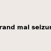 grand mal seizure是什么意思