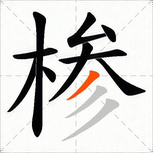 椮