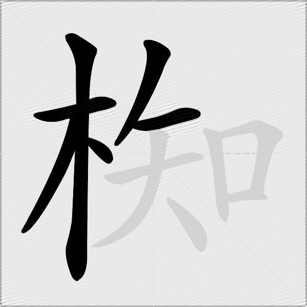 椥