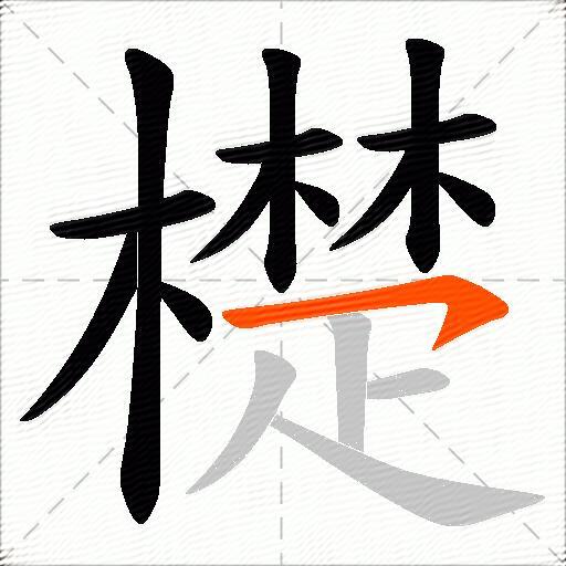 檚