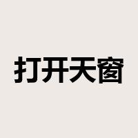 打开天窗说亮话是什么意思