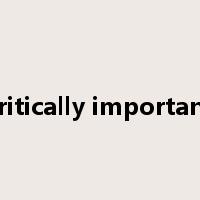 critically important是什么意思